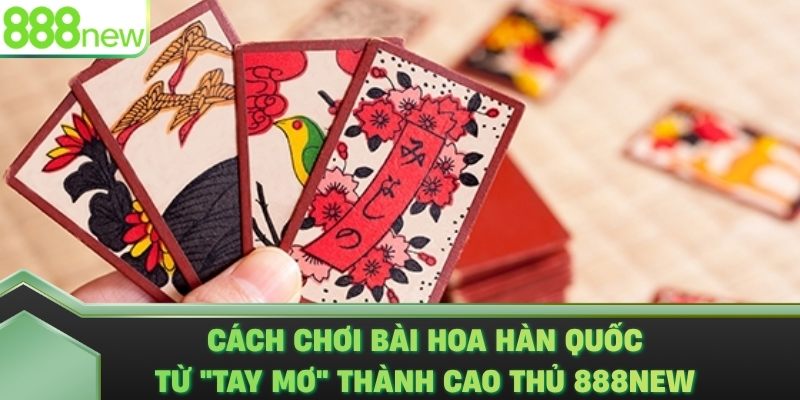 Cách Chơi Bài Hoa Hàn Quốc: Từ "Tay Mơ" Thành Cao Thủ 888NEW