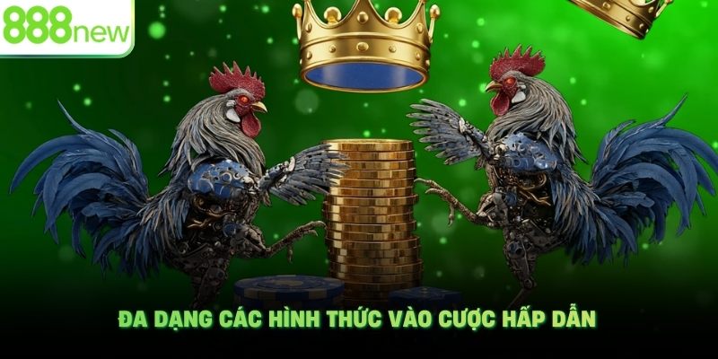 Đa dạng các hình thức vào cược hấp dẫn