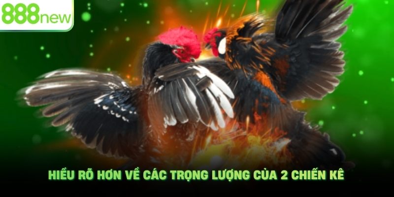 Hiểu rõ hơn về các trọng lượng của 2 chiến kê