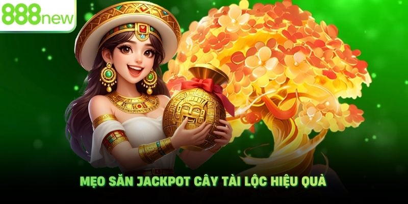 Mẹo săn Jackpot Cây Tài Lộc hiệu quả