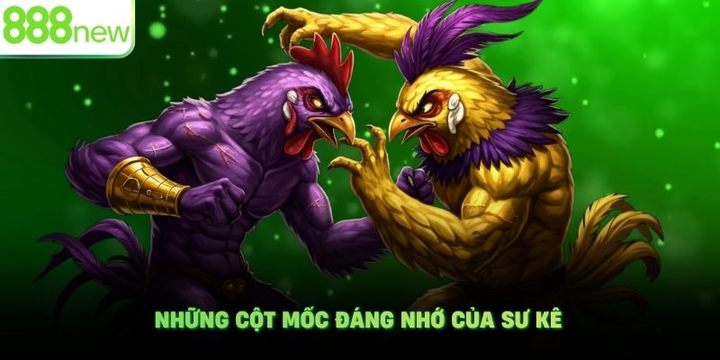 Những cột mốc đáng nhớ của sư kê